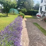 Apartma Tavcar *
