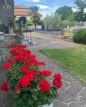 Hisa Tavcar Apartman *