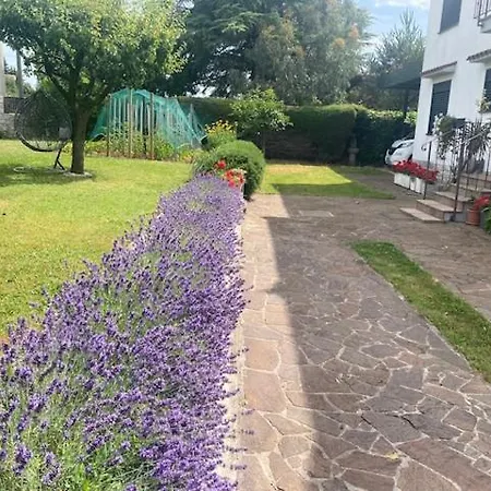 Apartma Tavcar *