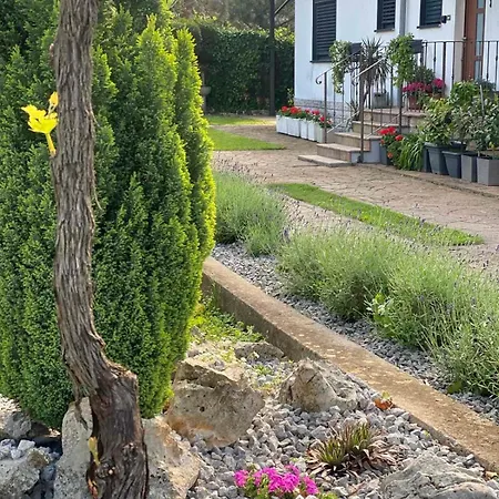 Hisa Tavcar Apartman Dutovlje