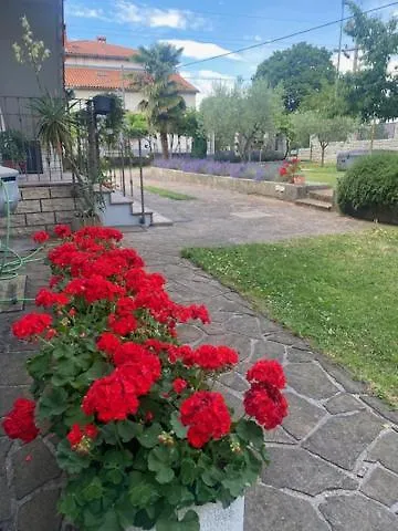 Hisa Tavcar 公寓 *